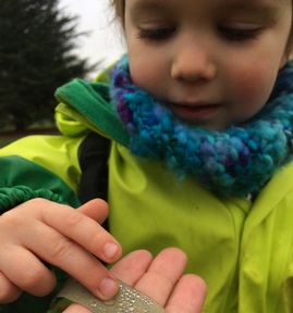 Credit: Little Forest Folk, Chiswick