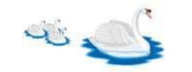 Little Swans Day Nursery Logo