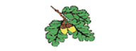 Little Acorns Nursery