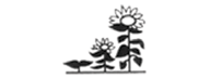 Springfield Montessori Nursery