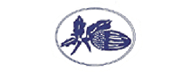 Acorn Park Nursery Kindergarten