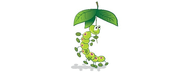 Caterpillars Pre-school (Sussex) Ltd