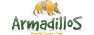 Armadillos Nursery and Preschool
