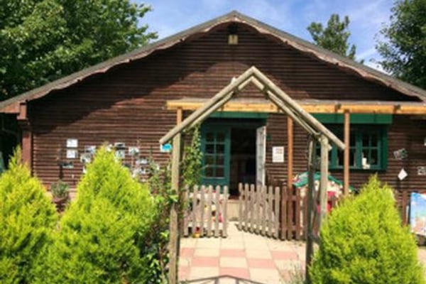 Buttercups at Chiswick Lane, Homefields Recreation Ground