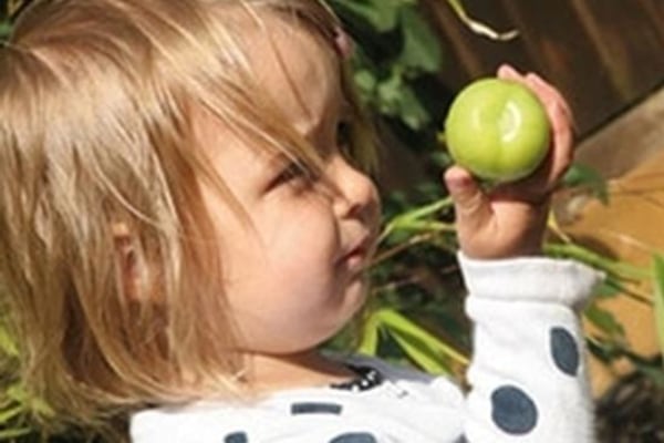 Junior's Day Nursery Cranbrook, Bramley House