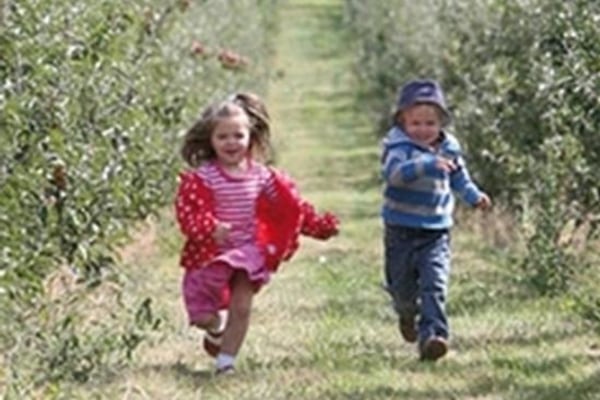 Junior's Day Nursery Cranbrook, Cranbrook, Kent