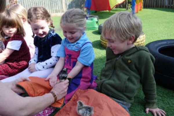 Young Sussex Nursery (Hove), Hove, East Sussex