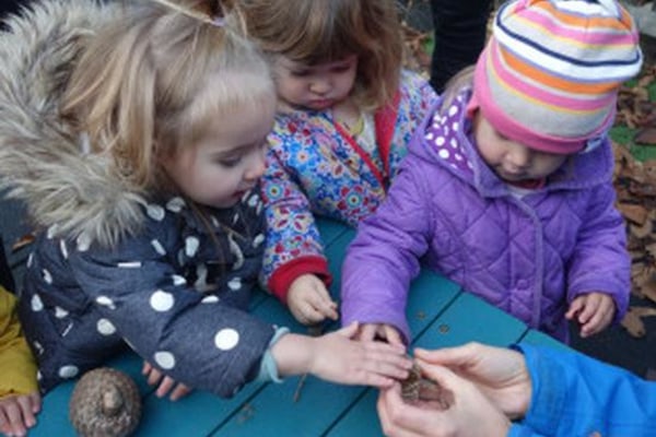 Young Sussex Nursery (Hove) BN3 5QJ