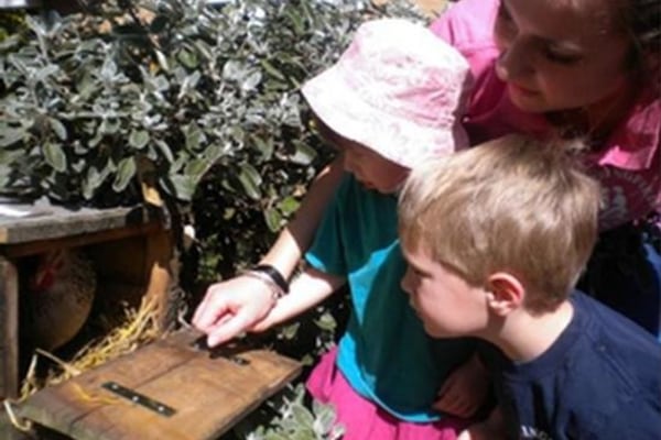 Springfield Day Nursery, 61 Springfield Road