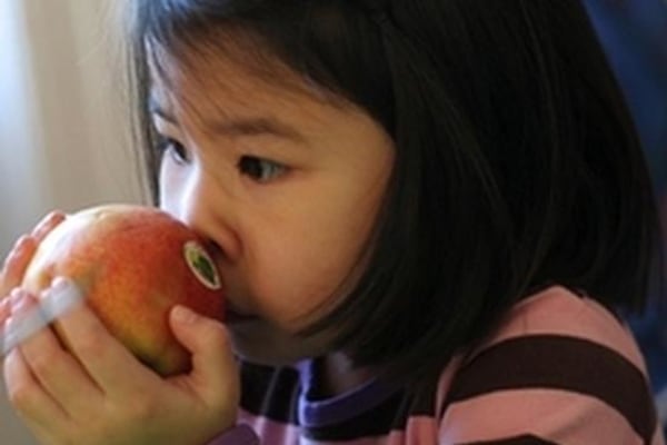 Circus Day Nursery & Pre-school, Pittville Circus Road