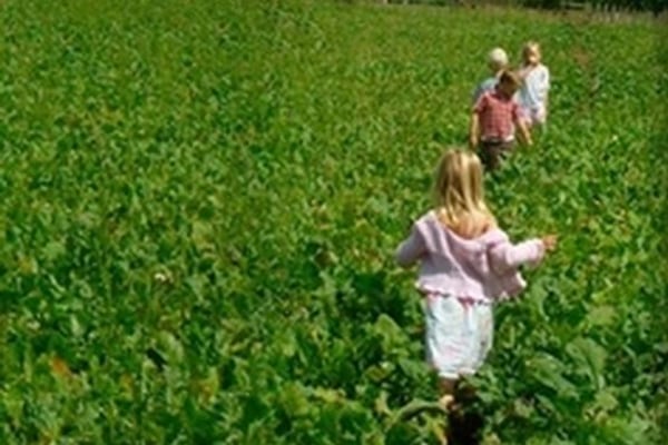 Overbury Grasshoppers, Overbury