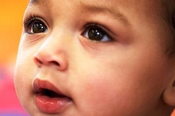 Bright Bees Evington, 388 Coleman Road