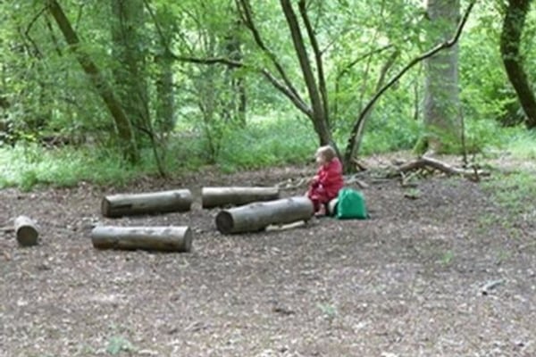 Little Dragons Day Nursery Ltd, Pattishall School