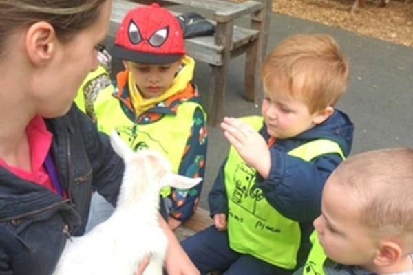 Children's Place Daisy Hill, Lynfield Mount