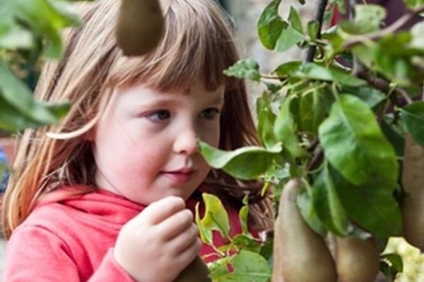 Kids Planet Meadows NE43 7UX