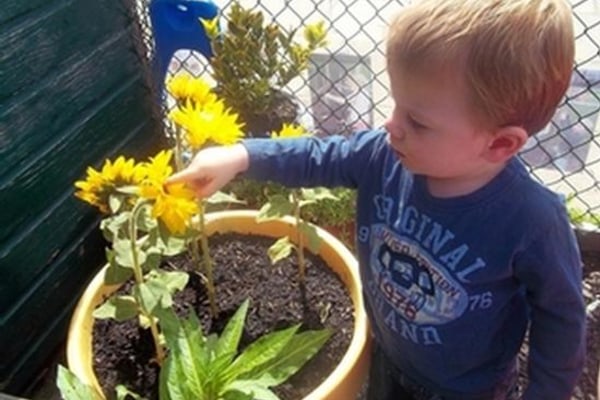 Plas Gogerddan Nursery, Gogerddan