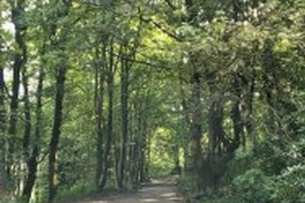 Kirktonholme Childcare Mearnswood, 60A Stewarton Road