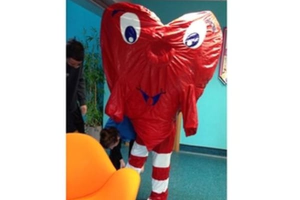 Bell House Nursery, Godalming, Surrey