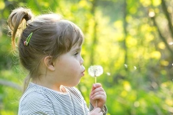 Bear and Bunny Nursery and Pre-school, Crangal Cottage