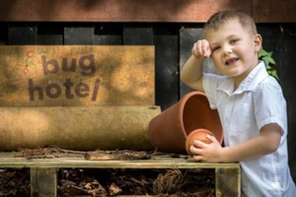 Clayesmore Nursery, Blandford Forum, Dorset