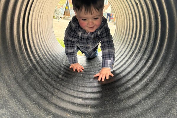 Sweet Peas at Rothwell, Leeds, West Yorkshire