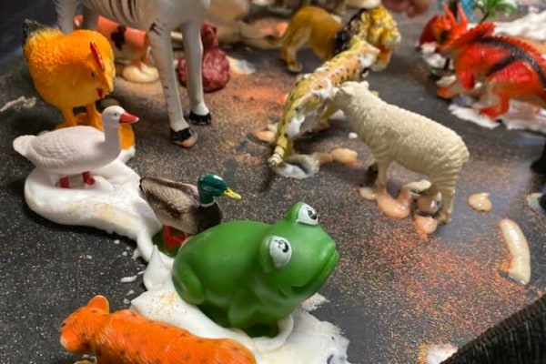 Small World Nursery PR25 2ES