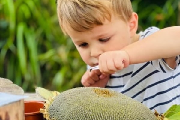 Broussa Day Nursery & Nursery School WA15 9NP