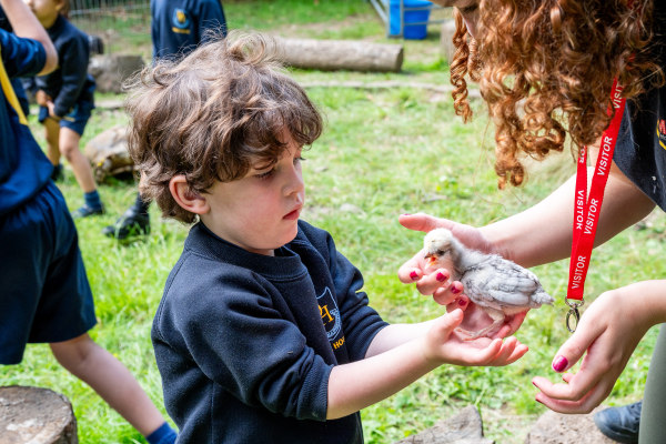 Little Dair Nursery SL2 3BY