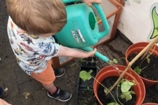 The Garden House Nursery, Sheffield, South Yorkshire