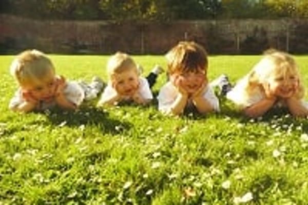 Garden Cottage Nursery, Highden