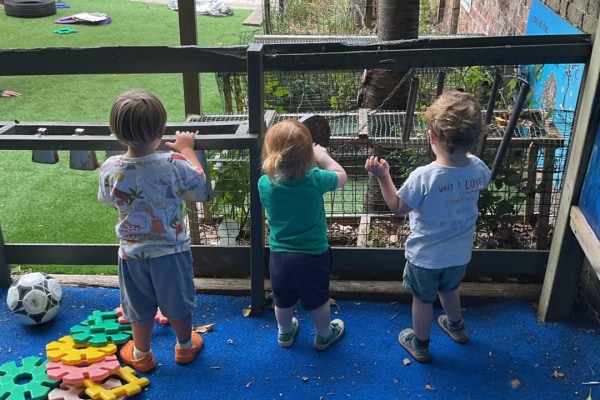 Growing Up Green Nursery BN1 6RA