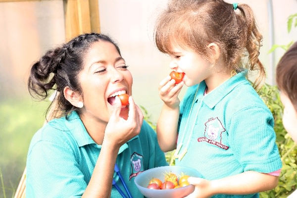 Bear's House Nursery, St Leonards, St Leonards-on-Sea, East Sussex