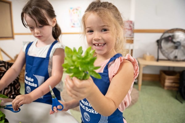 Toad Hall Day Nursery Ltd SS6 7PE