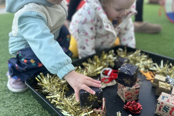 Wise Owls - Farm View Day Nursery, Loddon Court Farm