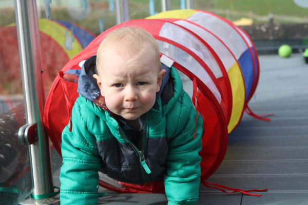 Wise Owls - Farm View Day Nursery RG7 1HT