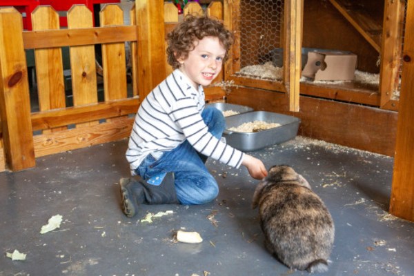 Children 1st Acorns Nursery School, Draycott Road