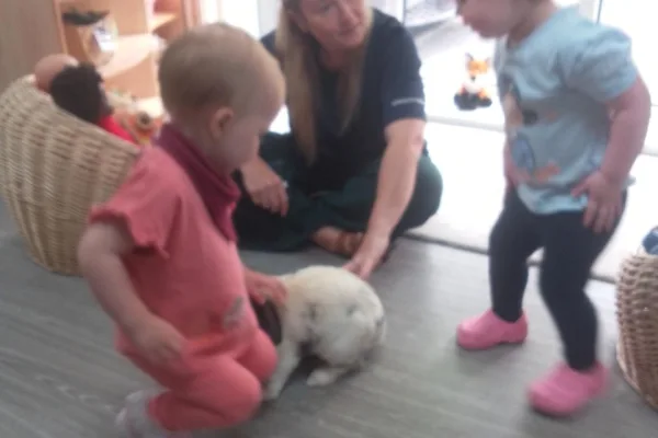Spring Park Nursery, Liverpool