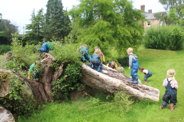 Ashton House Nursery - Ashton Hayes, Church Road