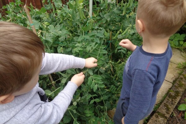 First Class Day Nursery, 28A Hallcraig Street