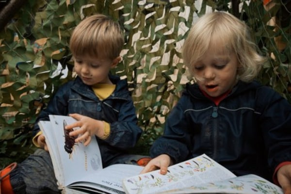 Little Lodge Nursery Bransford WR6 5JB