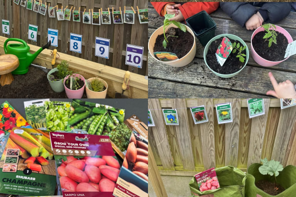 The House That Jack Built Nursery WD25 9XX