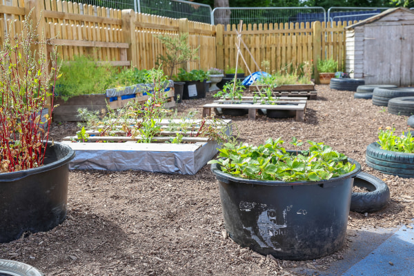 Kings Burrow Nursery, Winchester, Hampshire