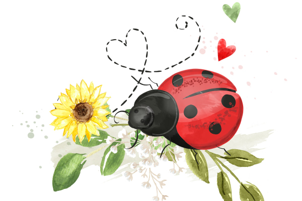 Ladybird Lane Day Nursery, 55 Castlewellan Road