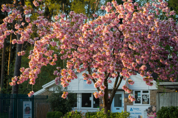 Teepee Day Nursery, Pembroke