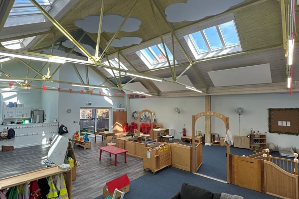 Puffins in the City, Exeter, Devon