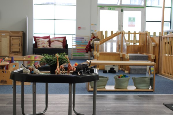 Puffins in the City EX1 1BB