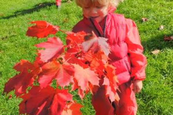Mulberry Kindergarten, 7-8 Fitzroy Place