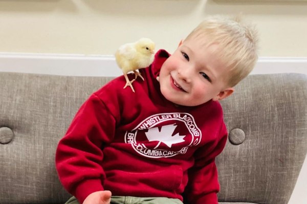 Riverside Nursery Schools, Twickenham Park TW1 2HN