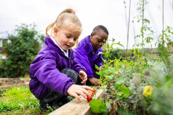 The Little Webber Nursery MK14 6DP