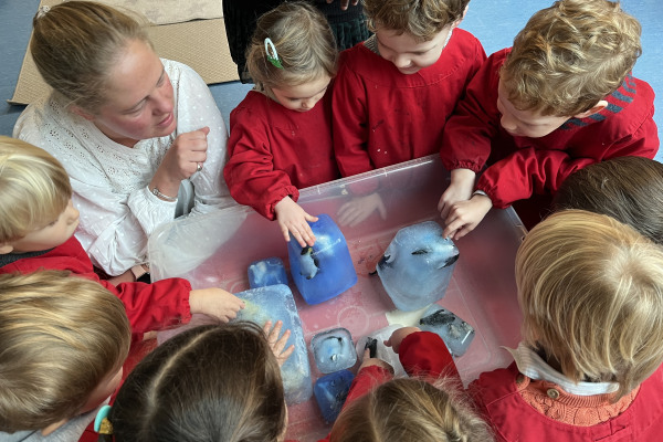 Dawmouse Brunswick Montessori Nursery School, c/o Brunswick Boys Club